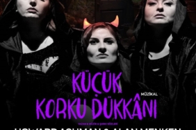 kucuk-korku-dukkani-202441616543178f8aa73242e46ed95be1d004b946ff5.jpeg