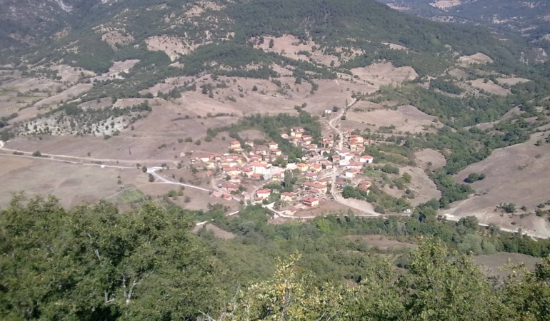 findicak-koyu