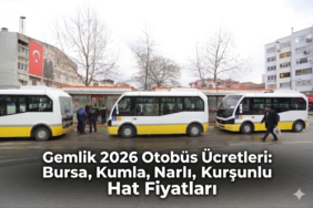 Gemini_Generated_Image_but9d9but9d9but9