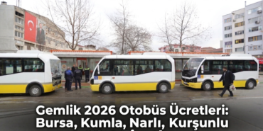 Gemini_Generated_Image_but9d9but9d9but9