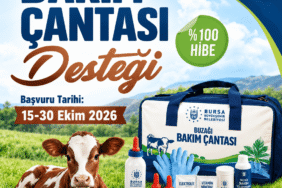 Bursa Buzağı Bakım Çantası Desteği (1)